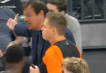 Ergin Ataman; Damir Javor