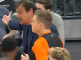 Ergin Ataman; Damir Javor