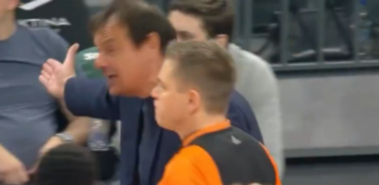 Ergin Ataman; Damir Javor