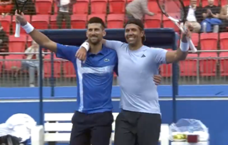 Novak Đoković; Fernando Verdasko