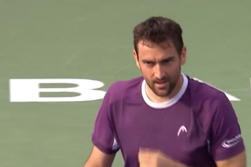 Marin Čilić