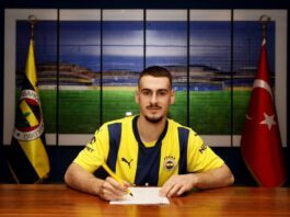 Ognjen Mimović; Fenerbahče