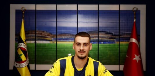 Ognjen Mimović; Fenerbahče