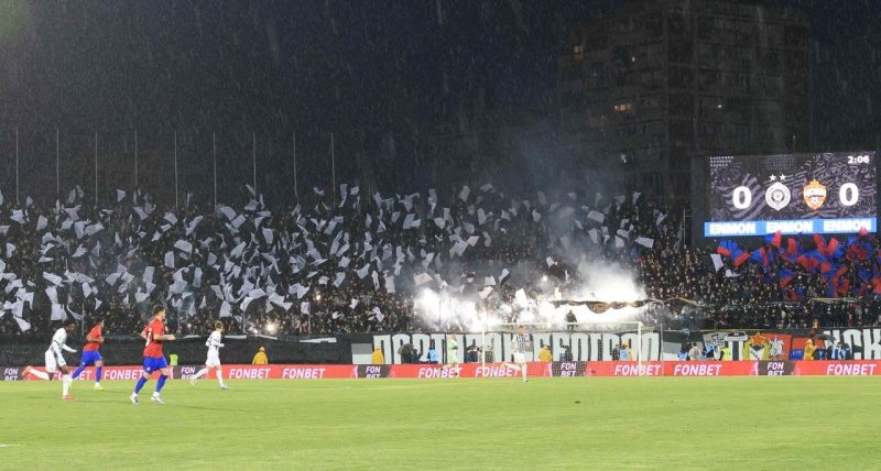Partizan, Grobari